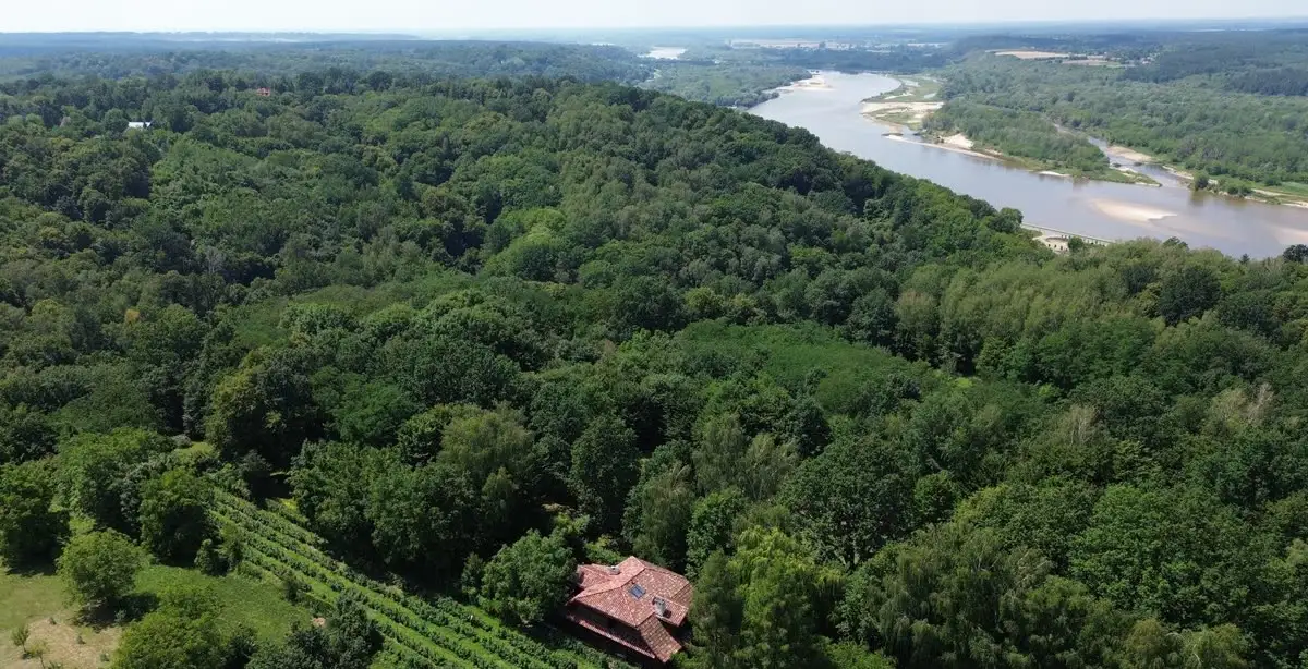 Widok z góry na zalesioną skarpę nad Wisłą, dach domu wśród drzew